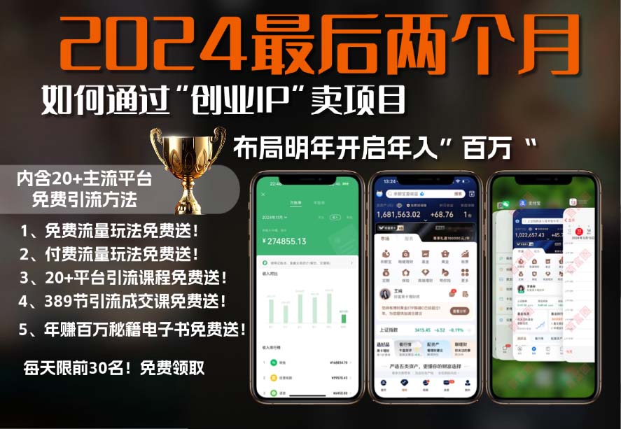 2024最后两个月如何通过”创业IP“卖项目年入”百万“,创业IP+最强引流…-纵横项目网
