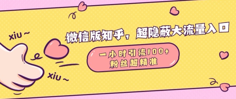 微信版知乎，超隐蔽流量入口1小时引流100人，粉丝质量超高【揭秘】-纵横项目网