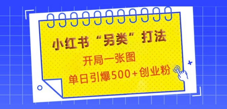 小红书“另类”打法，开局一张图，单日引爆500+精准创业粉【揭秘】-纵横项目网