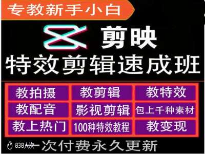 剪映特效教程和运营变现教程，特效剪辑速成班，专教新手小白-纵横项目网