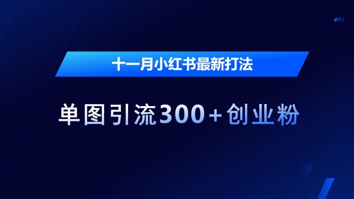 十一月小红书最新打法，单图引流300+创业粉【揭秘】-纵横项目网