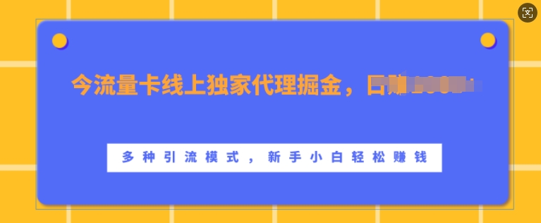 流量卡线上独家代理掘金，日入1k+ ，多种引流模式，新手小白轻松上手【揭秘】-纵横项目网