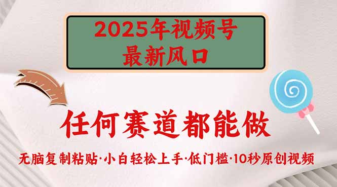 2025年视频号新风口，低门槛只需要无脑执行-纵横项目网