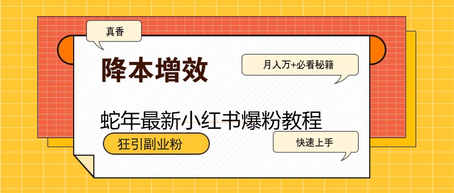 蛇年最新小红书爆粉教程，狂引副业粉，月入万+必看-纵横项目网