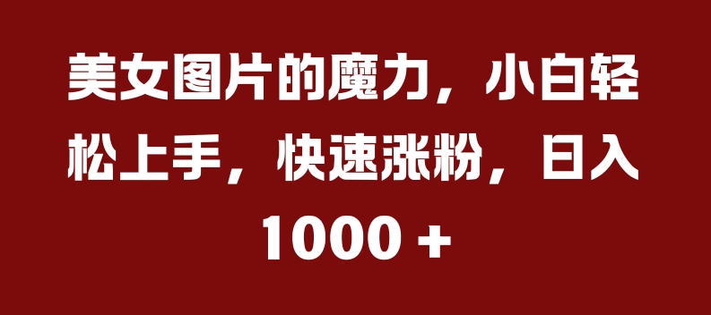 美女图片的魔力，小白轻松上手，快速涨粉，日入几张【揭秘】-纵横项目网