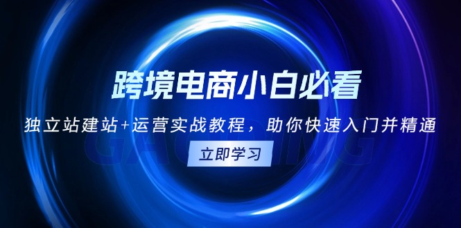 跨境电商小白必看！独立站建站+运营实战教程，助你快速入门并精通-纵横项目网