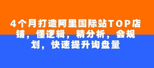 4个月打造阿里国际站TOP店铺，懂逻辑，精分析，会规划，快速提升询盘量-纵横项目网