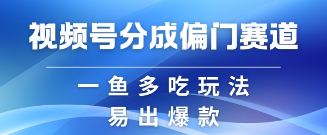 视频号创作者分成计划偏门类目，容易爆流，实拍内容简单易做【揭秘】-纵横项目网