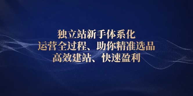 独立站新手体系化 运营全过程，助你精准选品、高效建站、快速盈利-纵横项目网