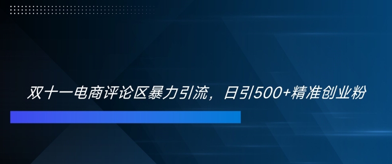 双十一电商评论区暴力引流，日引500+精准创业粉【揭秘】-纵横项目网