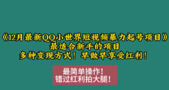 12月最新QQ小世界短视频暴力起号项目，最适合新手的项目，多种变现方式-纵横项目网