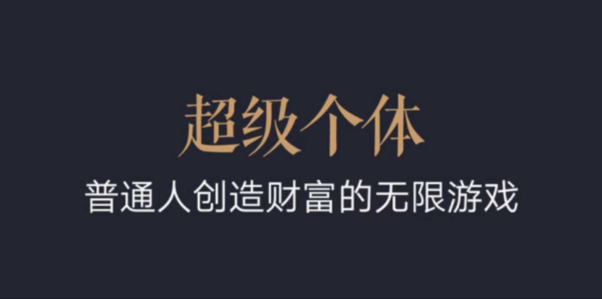 超级个体：2024-2025翻盘指南，普通人创造财富的无限游戏-纵横项目网