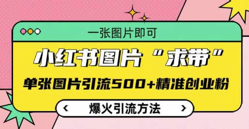 小红书图片‘求带’爆火引流法，单张图片引流500+精准创业粉【揭秘】-纵横项目网