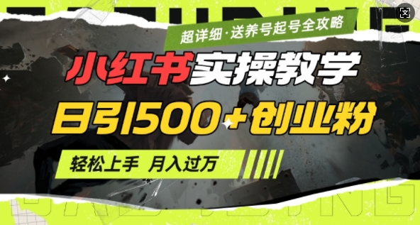 2月小红书最新日引500+创业粉实操教学【超详细】小白轻松上手，月入1W+，附小红书养号起号SOP-纵横项目网