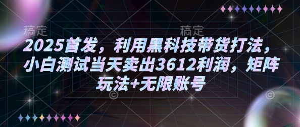 2025首发，利用黑科技带货打法，小白测试当天卖出3612利润，矩阵玩法+无限账号【揭秘】-纵横项目网