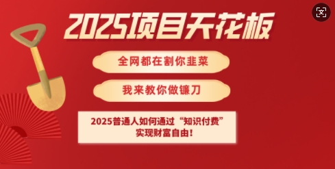 2025项目天花板普通人如何通过知识付费，实现财F自由【揭秘】-纵横项目网